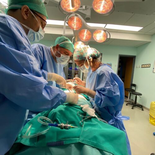 Ζωντανή αναμετάδοση χειρουργικής επέμβασης C.LA.SS Courses 2022 2nd Chapter