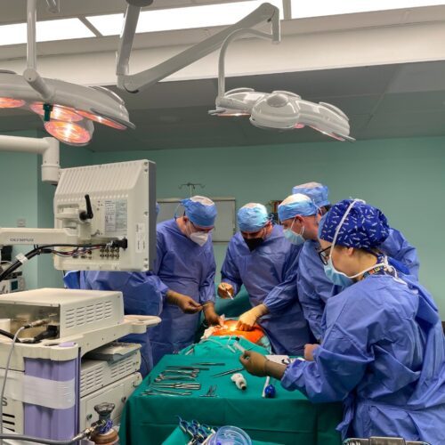 Ζωντανή αναμετάδοση χειρουργικής επέμβασης C.LA.SS Courses 2021 3rd Chapter