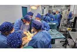 Hernia Cadaveric Dissection Course (10/2026)