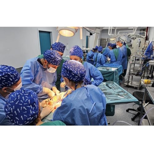 Hernia Cadaveric Dissection Course (10/2026)